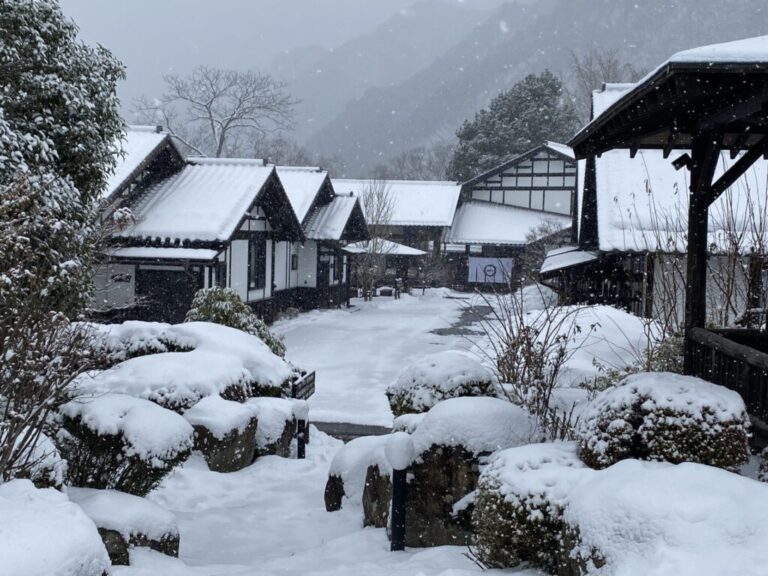 猿ヶ京の「雪」の情報について