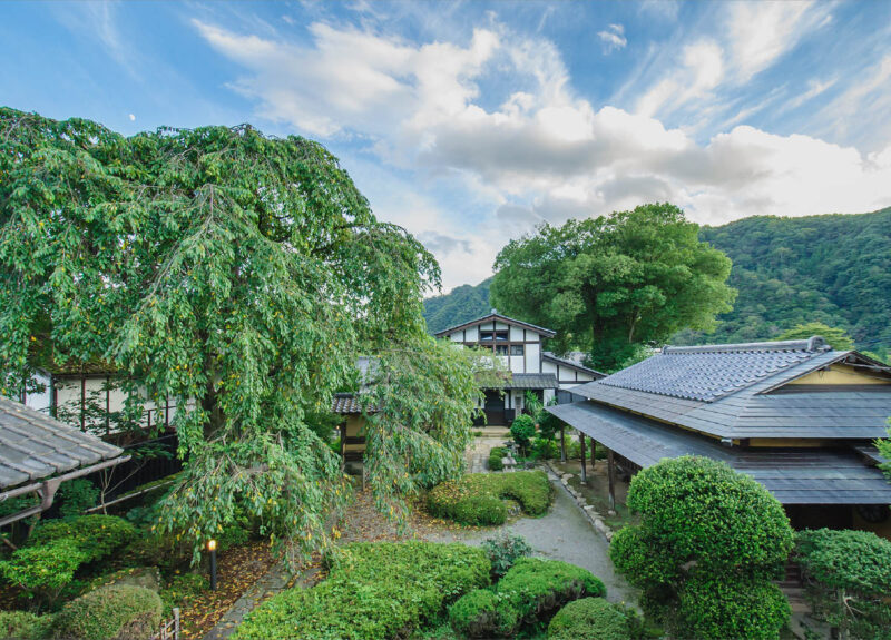 中庭/旅籠屋丸一